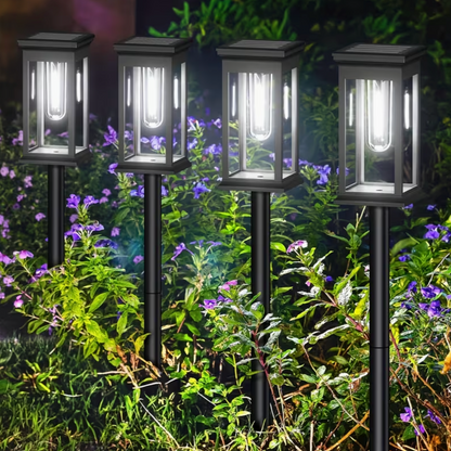 Waterproof Solar Garden Lights
